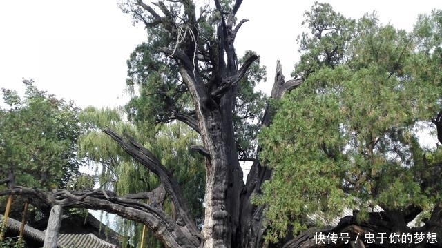 「世界」河南这个景点,被列为世界文化遗产!名气极大,去的人却不多
