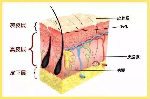 这些护肤谣言，90%的女生都信了