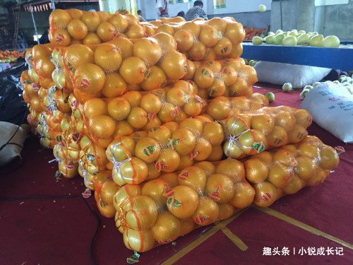  「贡品」曾为古代贵族贡品，如今满世界泛滥，冒牌货害苦了农民