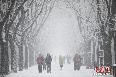 北京迎来今冬第二场雪 天坛雪景美不胜收