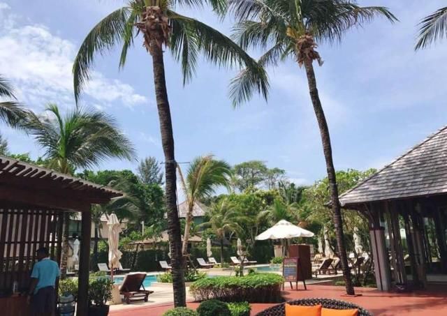 王晓晨瘦了好多，感觉都脱相了！这样的自拍直叫人想表白