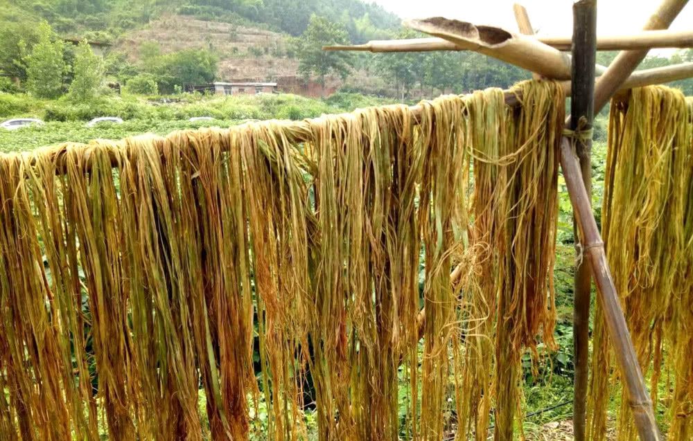  农村|一种植物“泛滥成灾”，农民成片铲除！只因没价值？