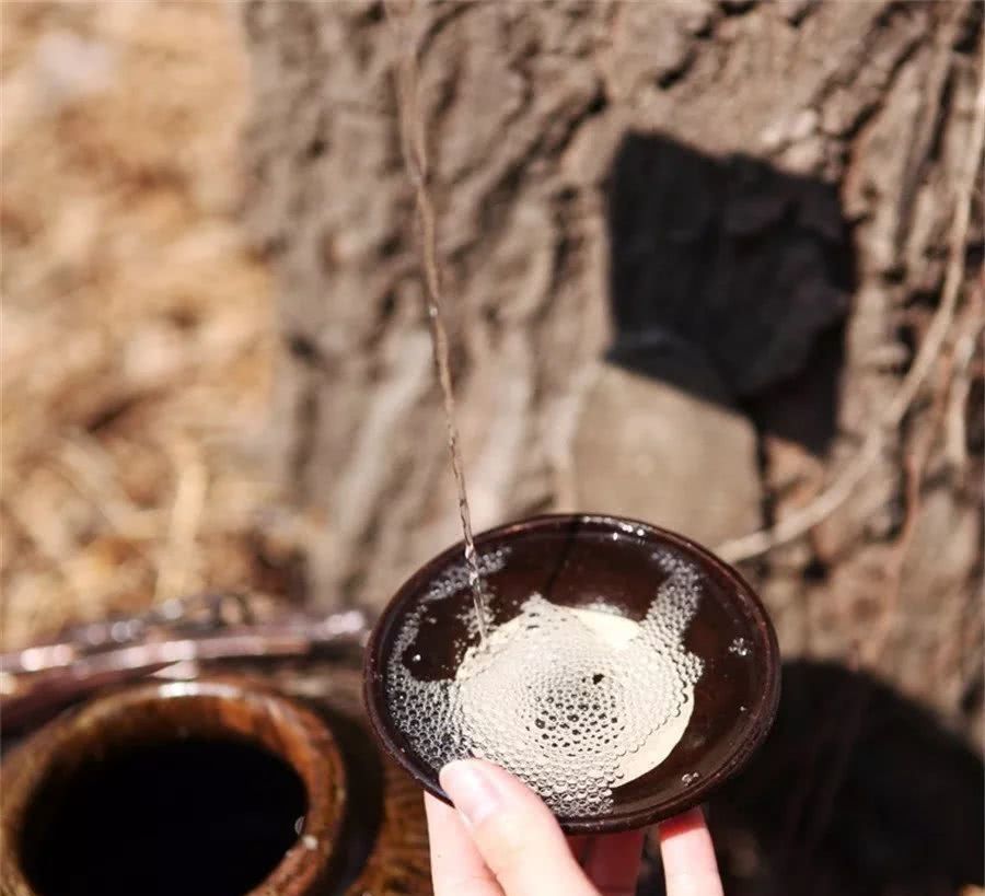 【好喝的酒】涨知识-什么白酒才是纯粮食酒,你真的了解酒吗?