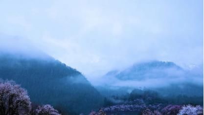 多个角度告诉你，为什么李子柒的老家在四川平武县