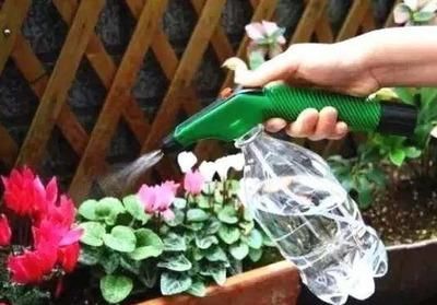  【盆土完全干】啥花都养不好？1种情况“最有可能”：好花都是浇死的！