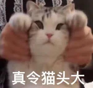  [科颜氏集焕]从几十试到上千块，终于找到有用的美白精华