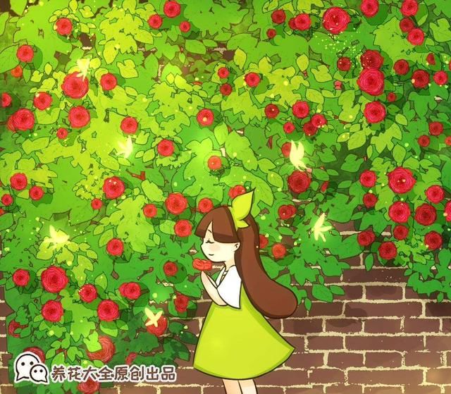  「春天」春天到，蔷薇开始“上房揭瓦”，注意这“5点”，开出大花墙