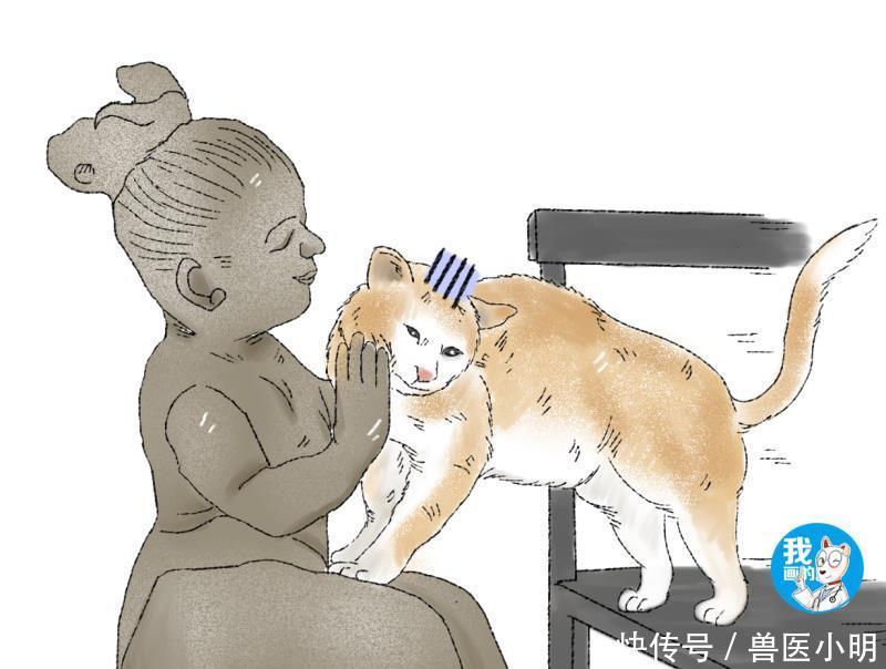  兽医小明@女子带猫咪出去，看见一雕像没在意，结果猫咪的表情却让人没眼看