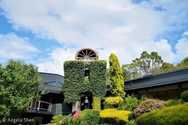 2020年最大的心愿