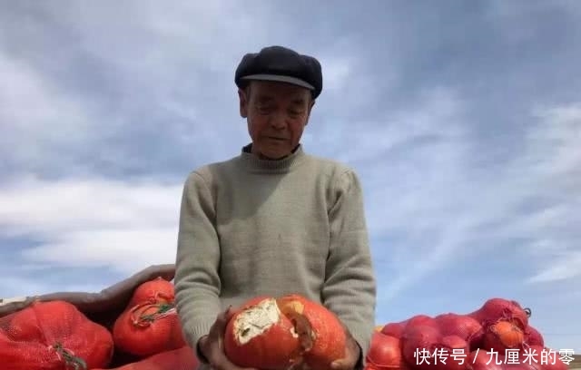  「哽咽」亩产达1吨，去年8毛丰产又丰收，今滞销2毛卖不动，农民