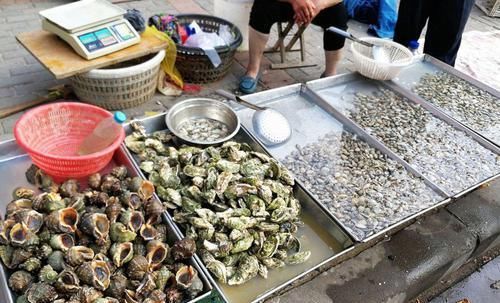  速度■繁殖速度非常快，市场供不应求，农民：价格也很高，就不