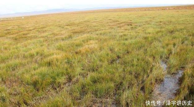  红军@红军爬雪山过草地“只等闲”, 你知道草地在哪, 如今长啥样