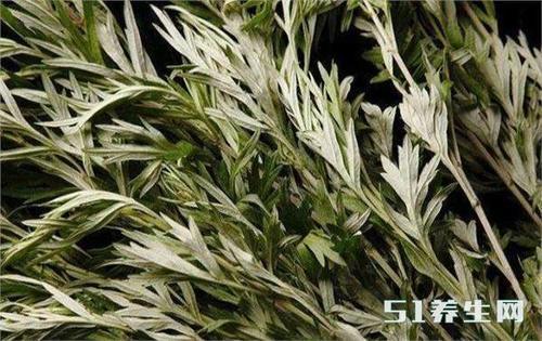 养生必养脚，秋冬每天这样泡脚，逼出体内寒湿，一身轻松百病消