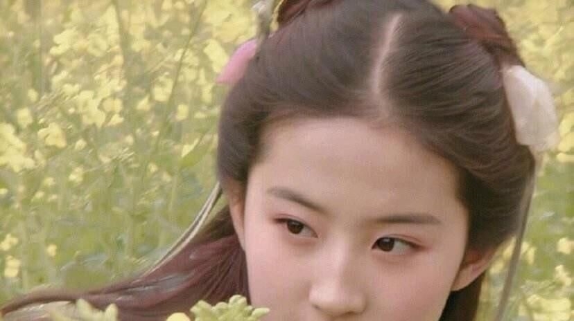 【有人】为什么会有人揪着刘亦菲国籍不放?