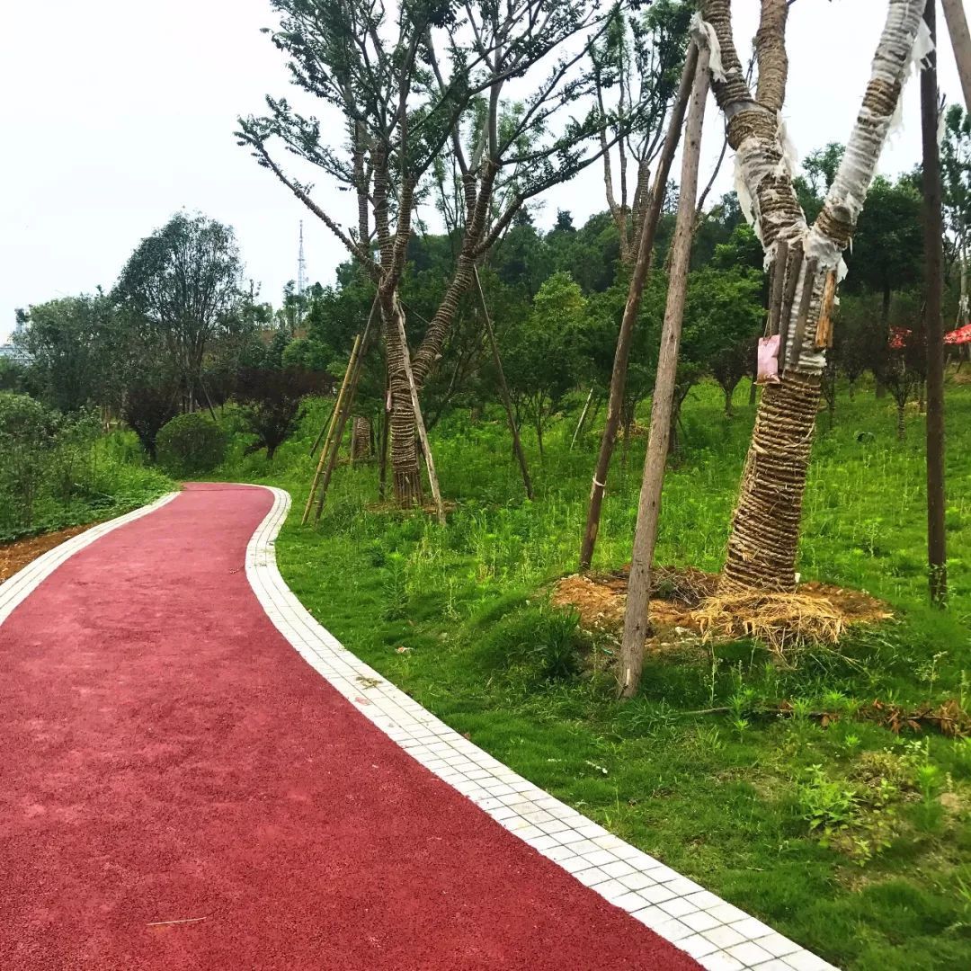 跑道上的绿色革命：塑胶跑道厂家推动环保与健康同行