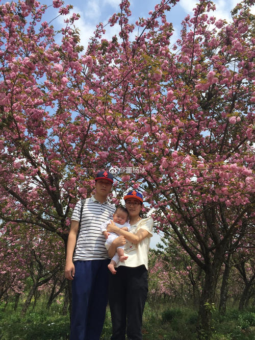 在贵州私藏的人间仙境里，做一场6000亩的樱花梦