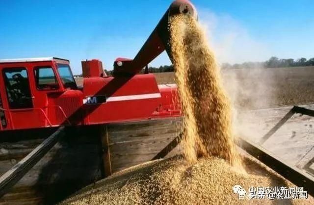 美国农业“集体破产”？补贴太多，产能过剩，中国农业需引以为鉴