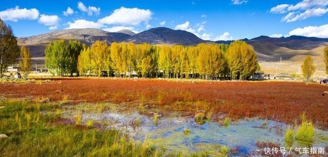 有一种美，叫稻城亚丁的秋天，隔着屏幕都能感觉到美