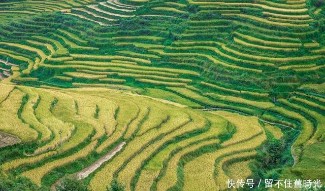 没有堵车没有排队 这里绝对是广西十一假期的小众自驾天堂