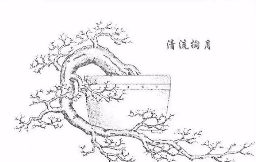  「难度」喜欢悬崖式，就是造型有难度？其实只因为心中没图，这里参考有数