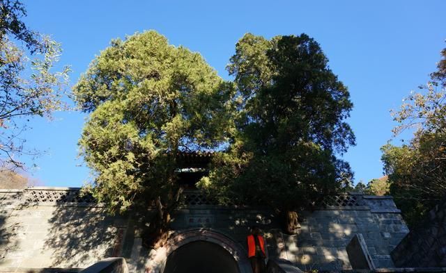 泰山没风景可看？那一定是因为来的时机不对