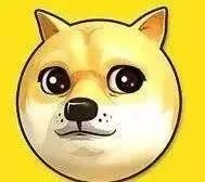 韶关花城社区恶狗咬人？不存在的，请停止转发谣言！