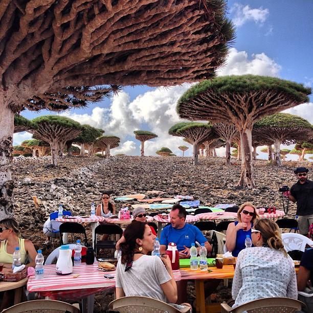 全球最奇葩的岛屿之一，看起来像外星球，岛民平均最少生5个孩子