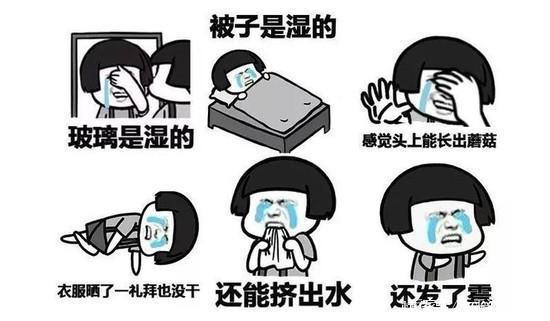 『南方人』回南天难逃霉运,南方人的家还有救吗