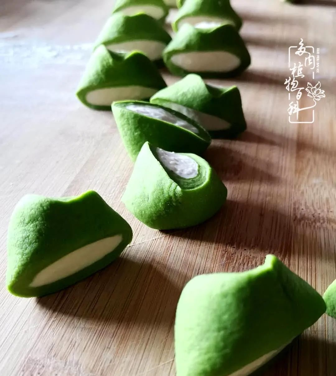  [庭院]一院一狗,三餐四季,慢下来的庭院生活才是好生活!