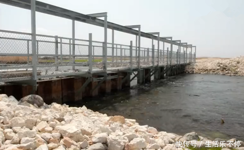 路过河边,发现桥下有很多鱼,看到它们往上游,却