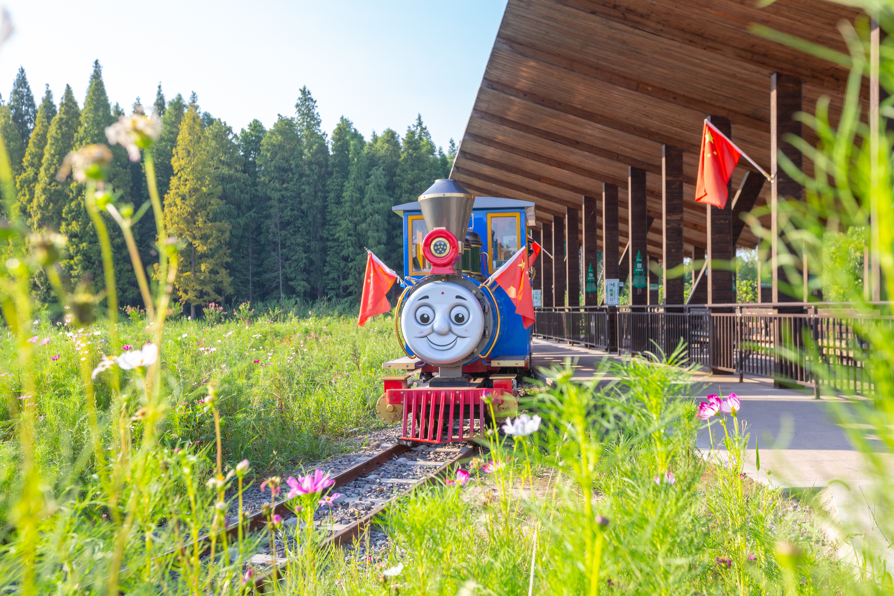 江苏罕见的水上森林,拥有万亩水杉林,是座名副其实的天然氧吧