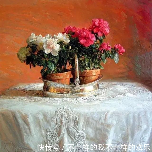 你站在窗外看风景,看风景的猫在窗外看你