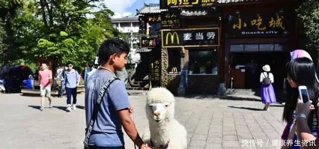 小夫妻42天自驾14000公里, 穿越13个省, 环游半个中国