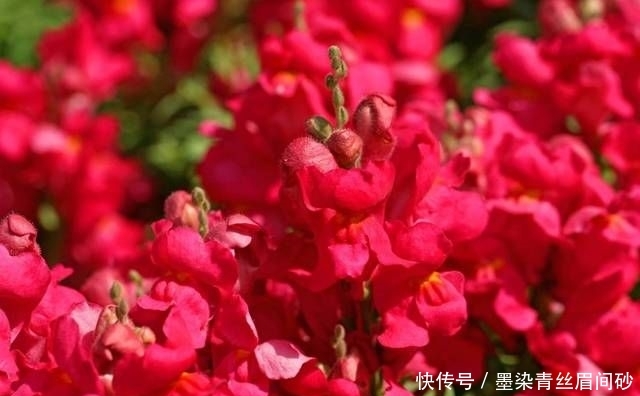  『性格』这四大星座女生不喜欢浓妆艳抹