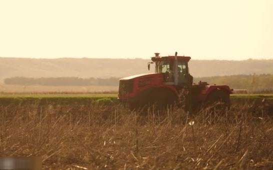  【确权】农民开垦的荒地要如何确权？种植作物有补贴拿吗？看完