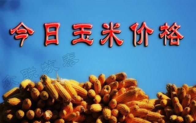 玉米：今日玉米价格？2019.2.14全国玉米价格汇总！