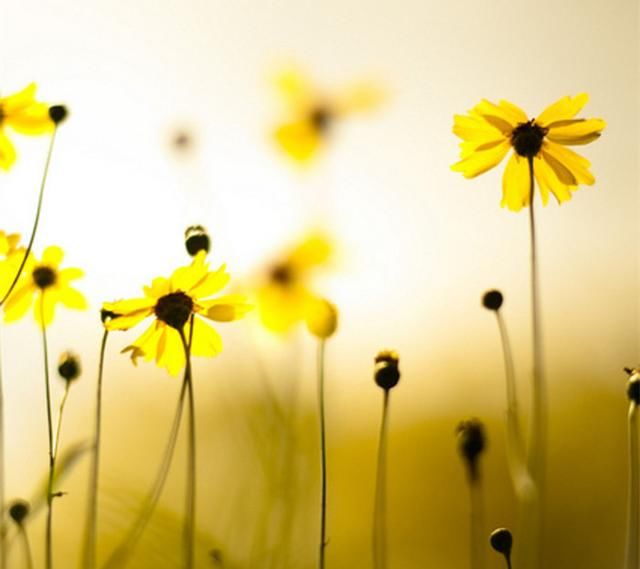 有了“痘”不知道该怎么办？