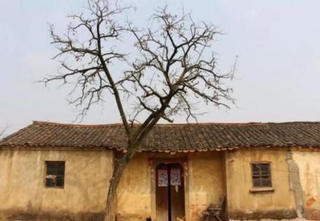  #道理#农村俗语“房前不栽树，屋后不开窗”，如何理解？有什么