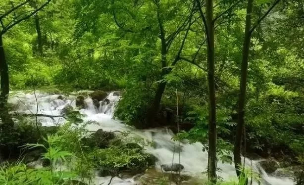 秦岭深处这8大醉美水域,景美人少,好多还免费!【2020热门旅游景点】