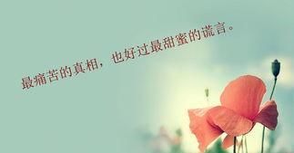  #过客#爱情，所有的错过，不过是生命中的过客