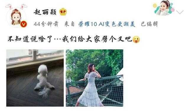 赵丽颖真是霸气，辟谣就靠一张图却让造谣者无地自容