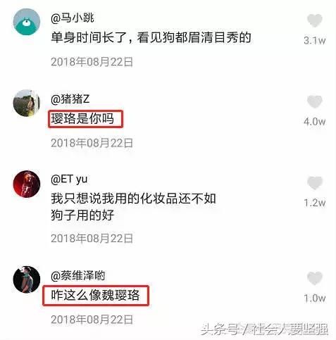 抖音“最精致的狗”出门必须化妆,变身后,网友:魏璎珞是你吗