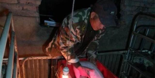  居民区@农村居民区宅基地可以养猪吗？看完就明白了！