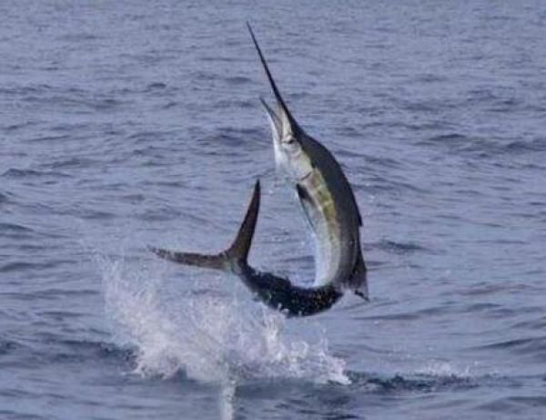  [一路]台风剑鱼将掉头直指广东 影响时间长范围广 雨可能一路下