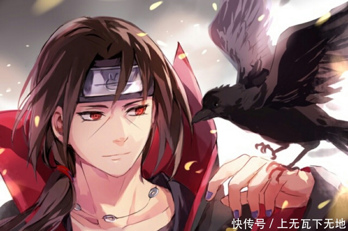 宇智波鼬与赤羽天全的选择!