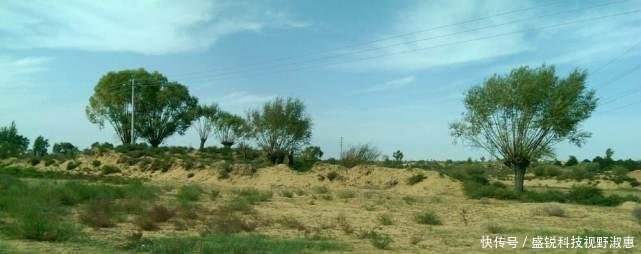 中国有九大沙漠，最大的33万平方公里，第五大沙漠却要消失