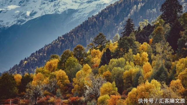 林芝的秋天，才是你最不该错过的天堂，有一百种秋色等你pick