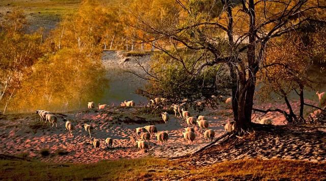 9月开始，这12个地方不可错过!