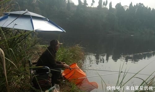 「天气」这里的鱼不仅多, 而且傻, 钓鱼拉得手抽筋
