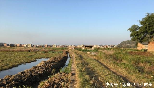  【六十岁】农村承包地期限又延长30年，有些人直到五六十岁都没